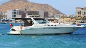 Private Boat Tours: The Best Way To Discover Cabo San Lucas